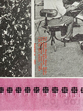 Most beautiful swiss books